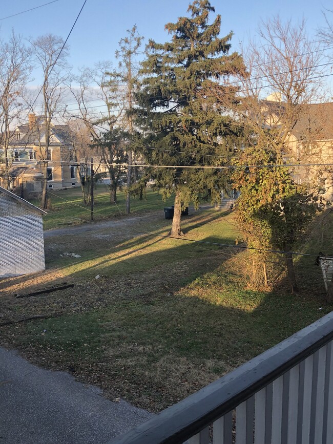 Back Balcony - 216 E 8th St