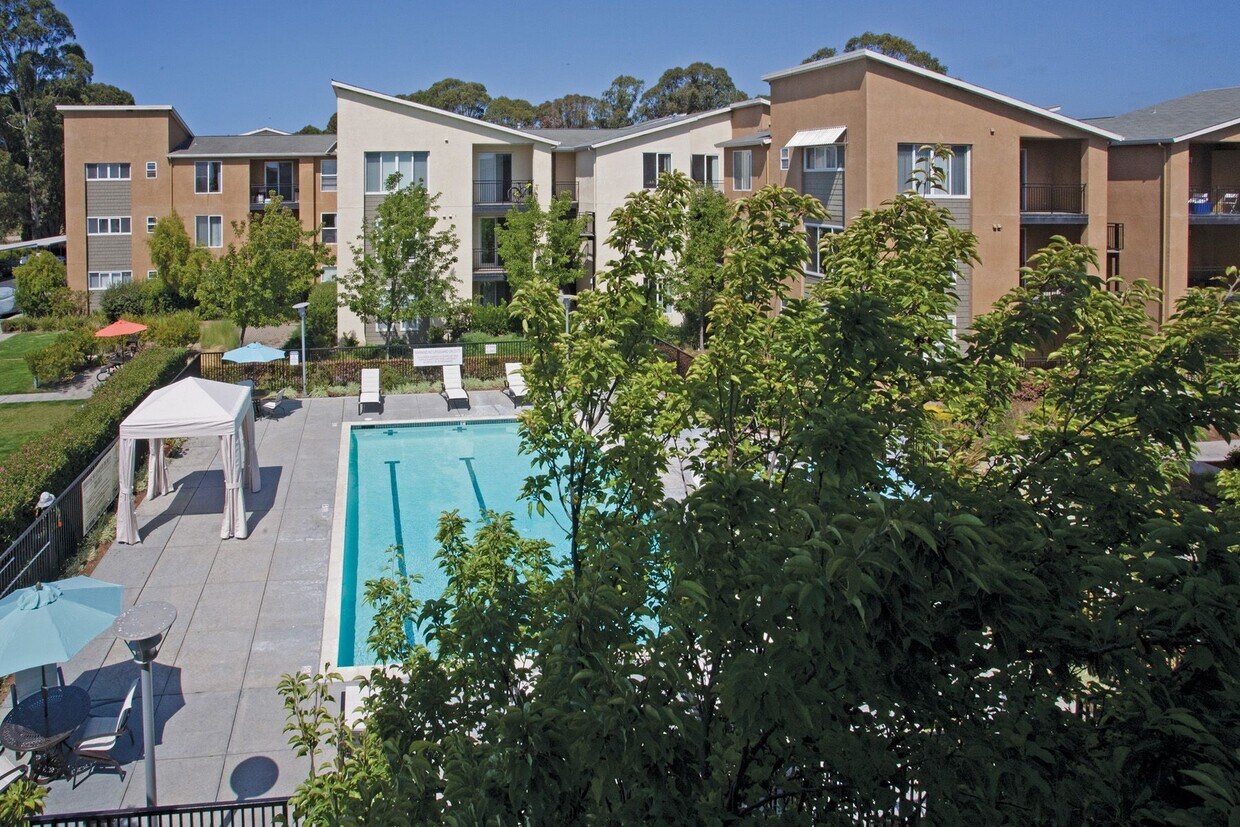 Pacific Shores - Santa Cruz, CA | Apartment Finder