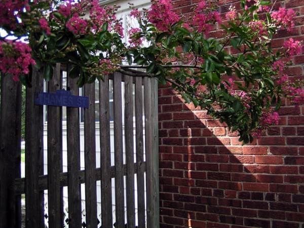 Building Photo - 5937 Monticello Rd