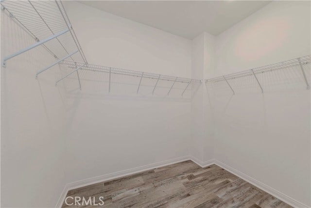 Building Photo - 24764 Rockston Dr
