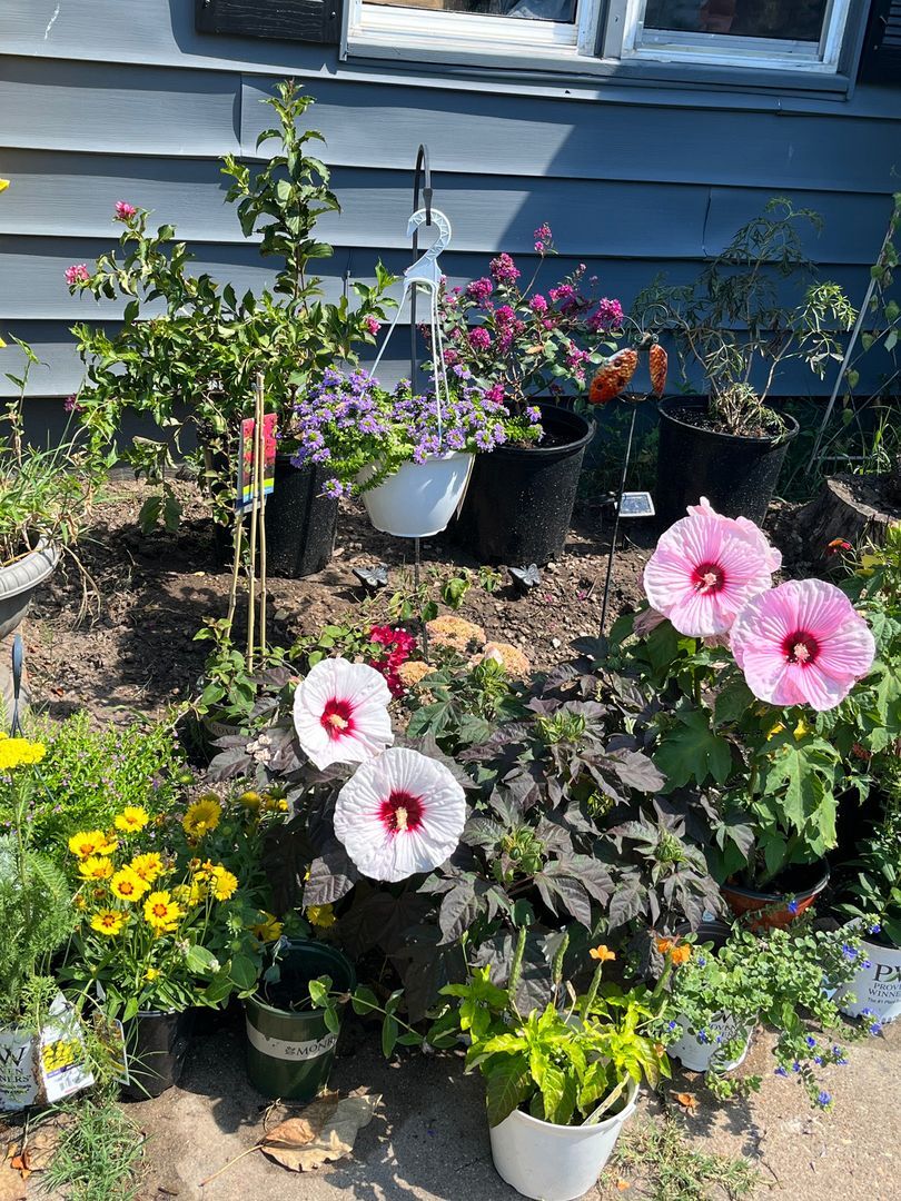 Building Photo - 1138 E Margaret St