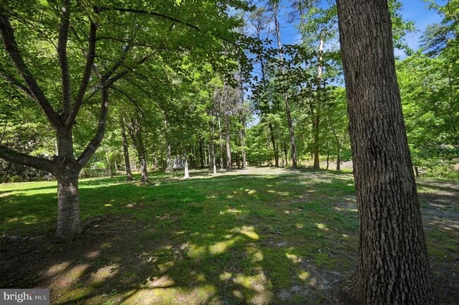 Building Photo - 11912 Old Elm Ct