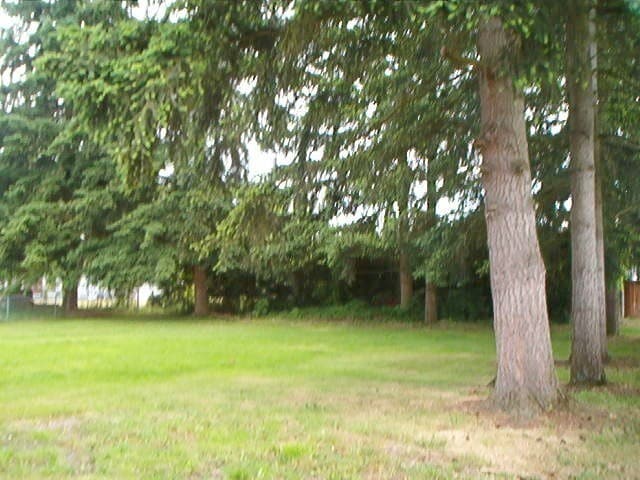 Building Photo - 3-bedroom, 2-bath home single family home in Arlington $2895 per/mo
