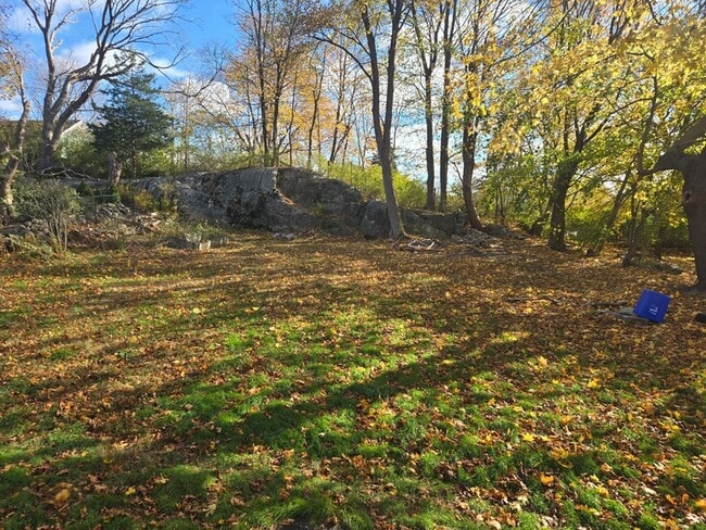 Building Photo - 19 Downer St