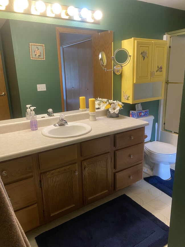 Lower Level full bath with tub - 1861 Raven Ave