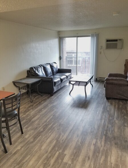 Furnished Living Room w/ NEW plank flooring - 458 E College Ave