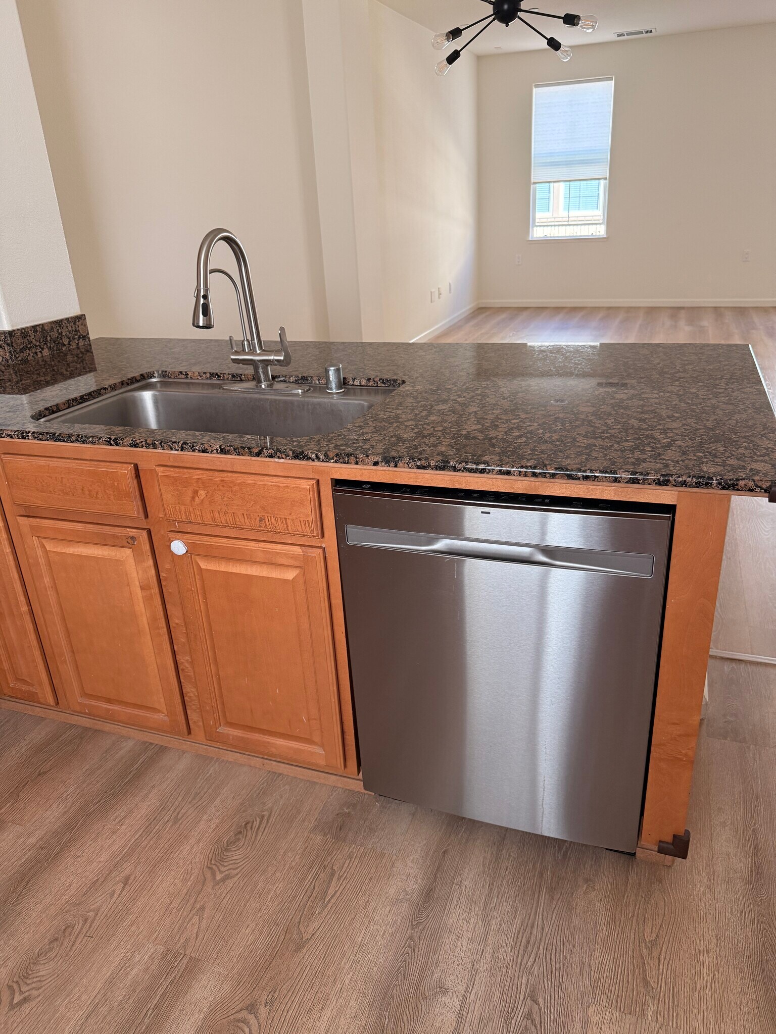 Sink & Dishwasher - 677 Luz del Sol Loop