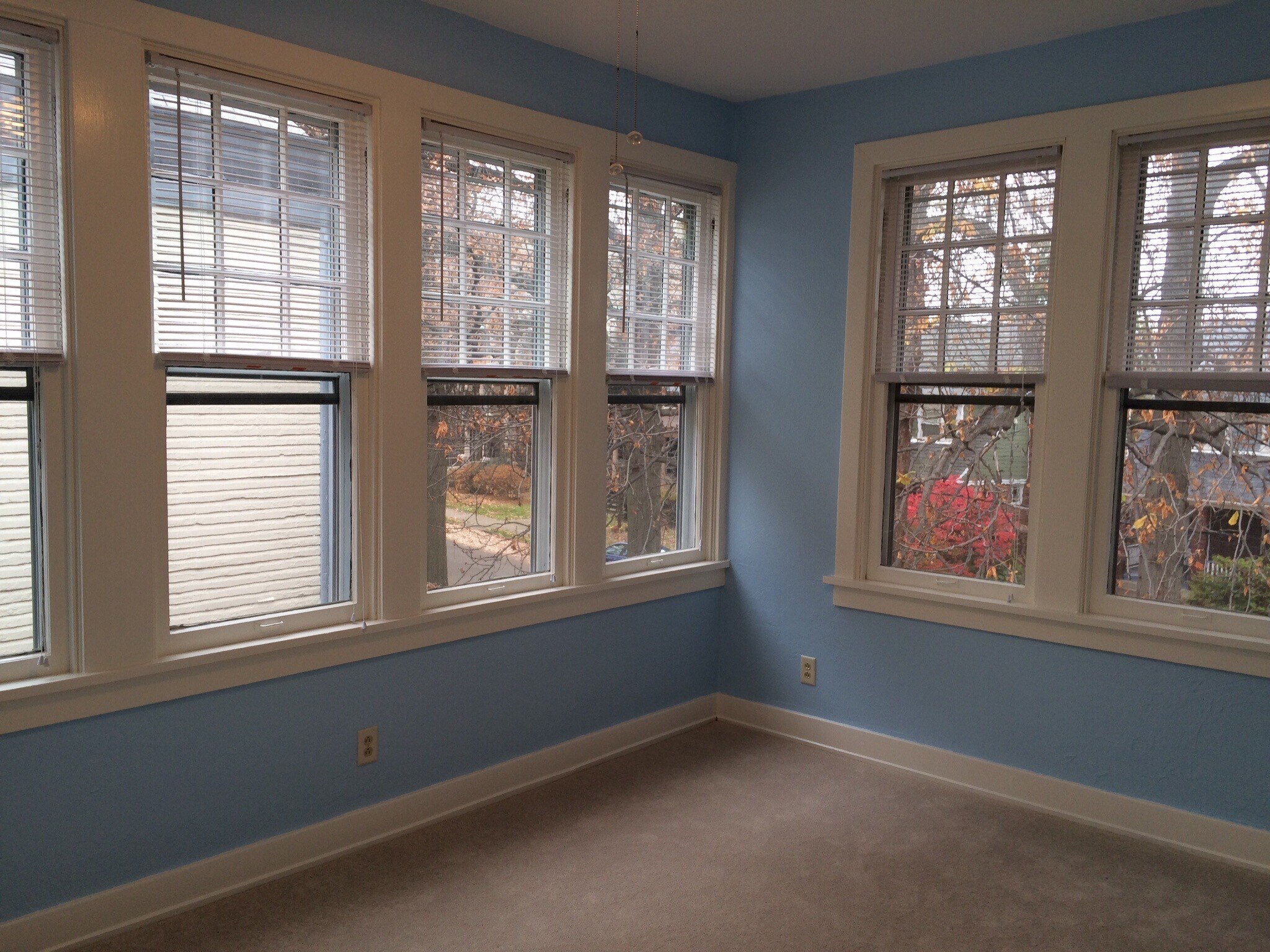 Building Photo - 924 Mifflin Ave