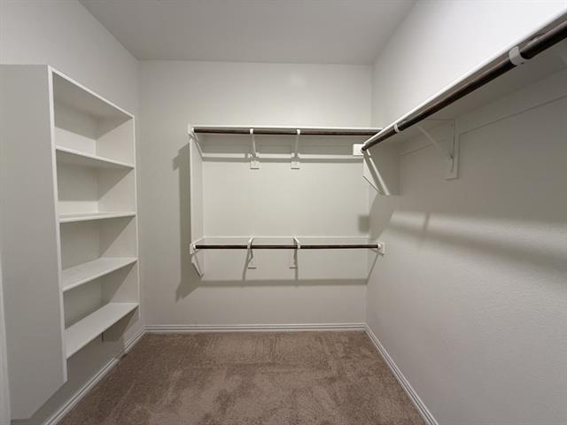 Building Photo - 783 Bayberry Ln