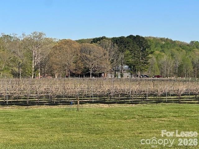 Building Photo - 149 Lytton Farm Rd