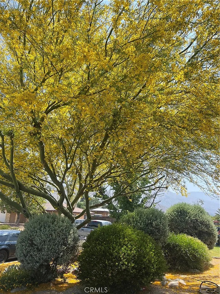 Building Photo - 45943 Bentley St