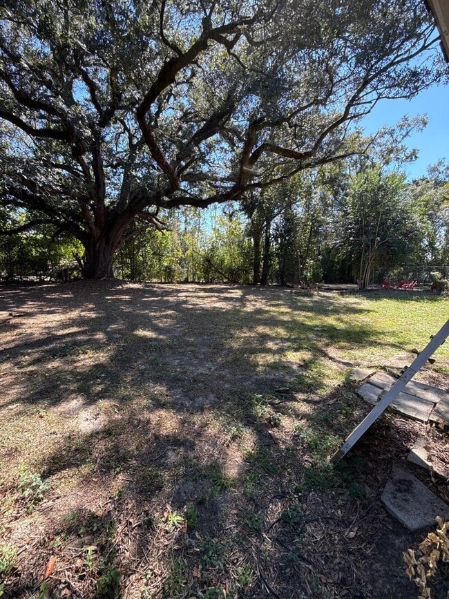 Building Photo - 4/2 House on Atkamire Drive, large yard! A...