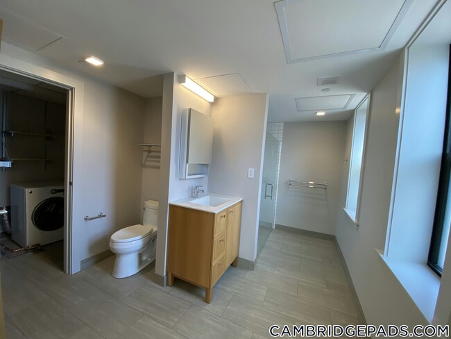 Building Photo - 115 Mt Auburn St