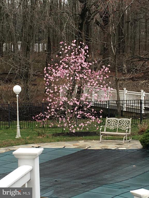 Building Photo - 124 Taylors Mills Rd