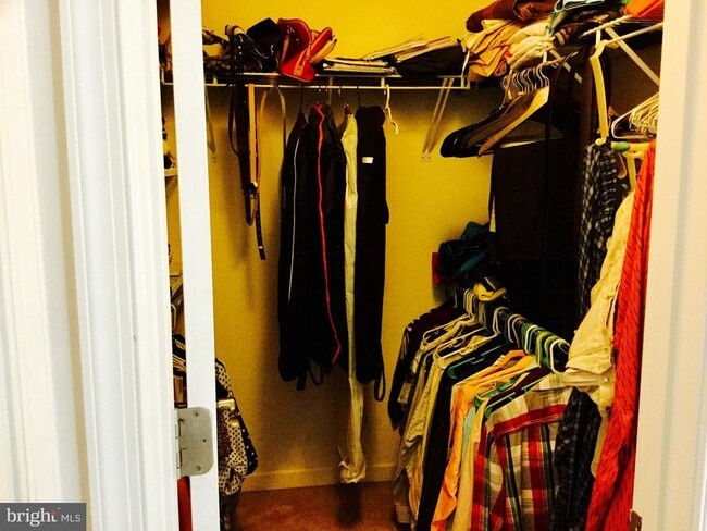 Building Photo - 42258 Castle Ridge Square