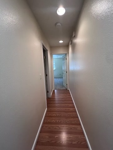 Building Photo - 12437 Silk Tassle Cir