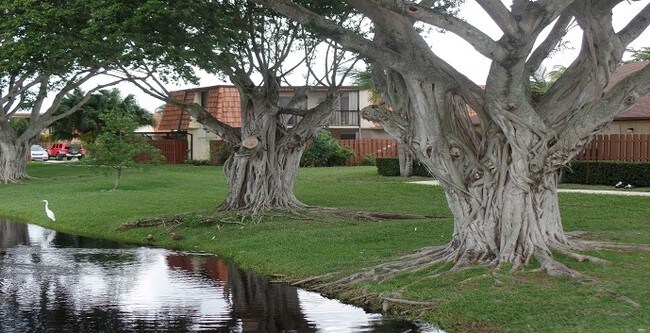 Building Photo - 451 Springdale Cir