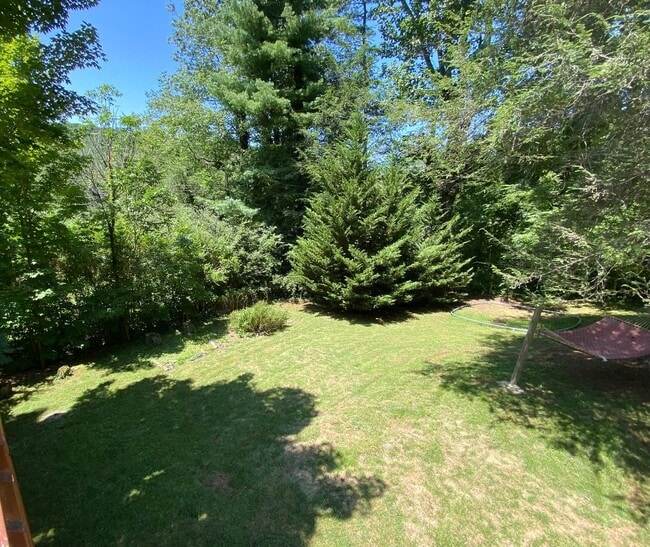 Building Photo - North AVL - Spacious Home with Large Yard and Outdoor Fireplace!