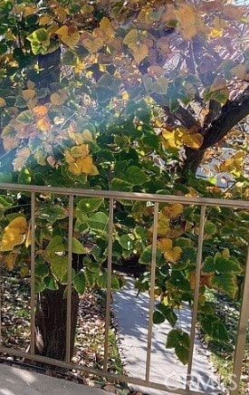 Building Photo - 2247 Martinique Ln