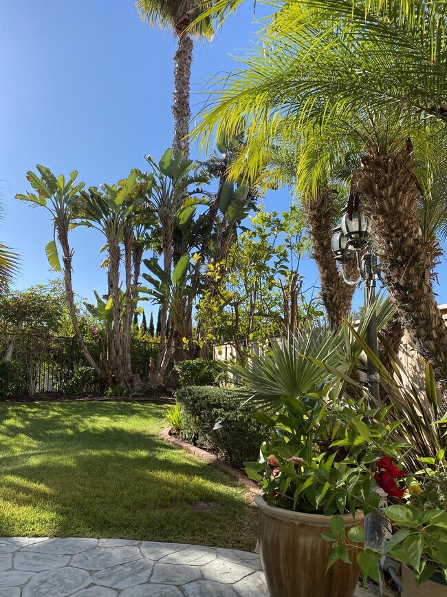 Building Photo - 4259 Calle Mejillones