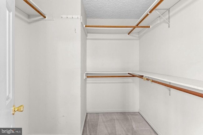 Building Photo - 3709 Howsen Ave