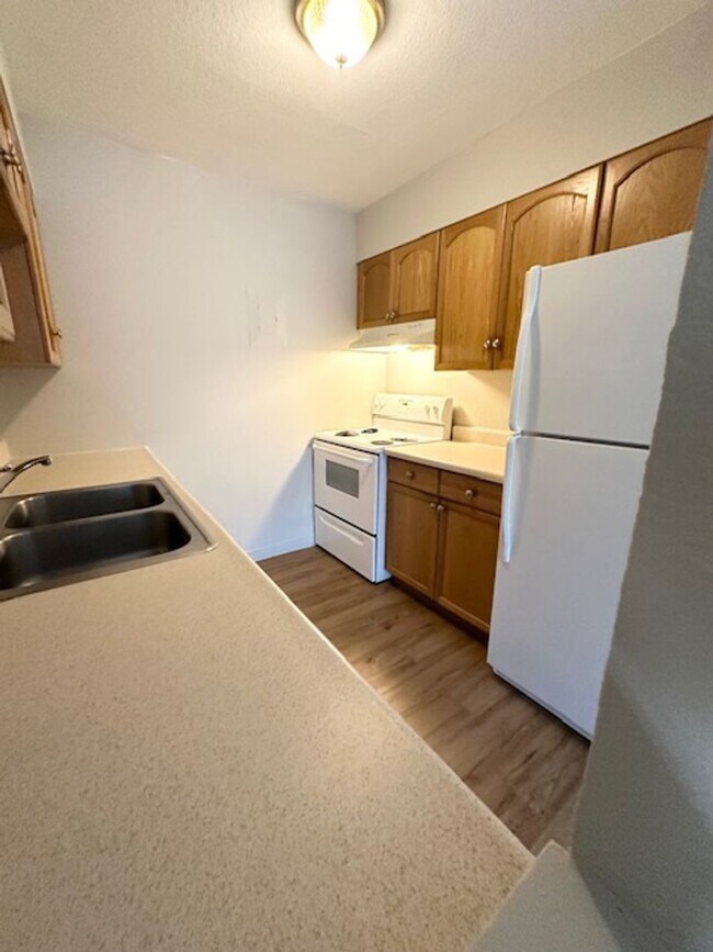 Building Photo - 4502 Picturesque Cir