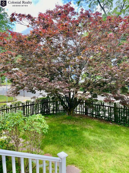 Building Photo - 38 Allston St