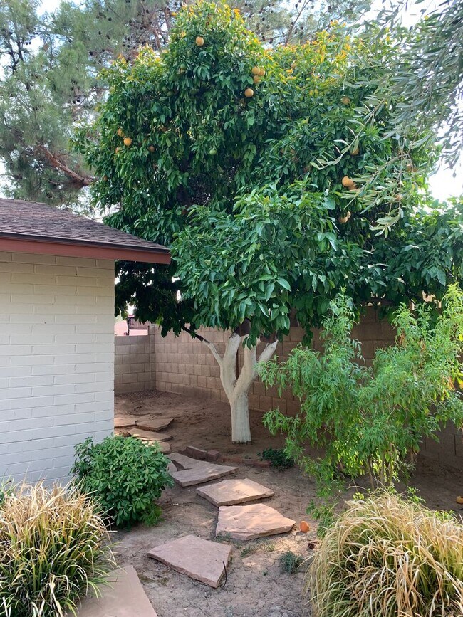 Building Photo - COMING SOON! Spacious 3 Bed 2 Bath Home w/ Private Pool!