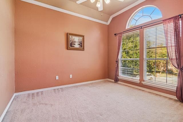 Building Photo - 3104 Sawtooth Dr