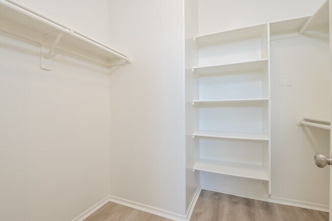 Building Photo - 306 E Calle CERITA