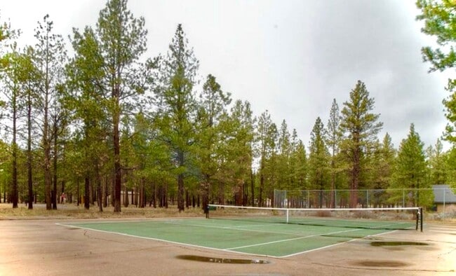 Building Photo - Fantastic 3-Bdr Home with Private Airport Access!