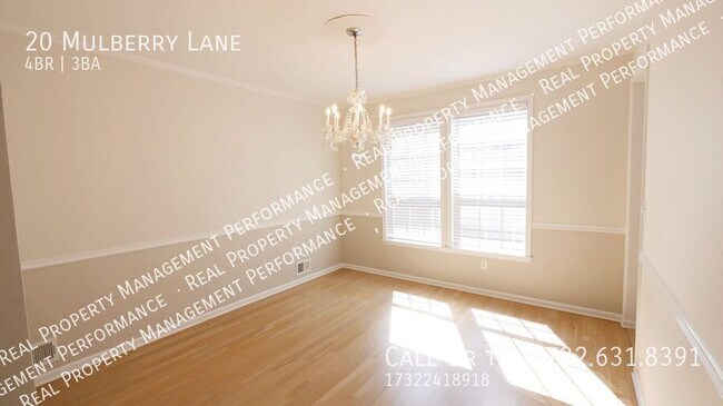 Building Photo - 20 Mulberry Ln