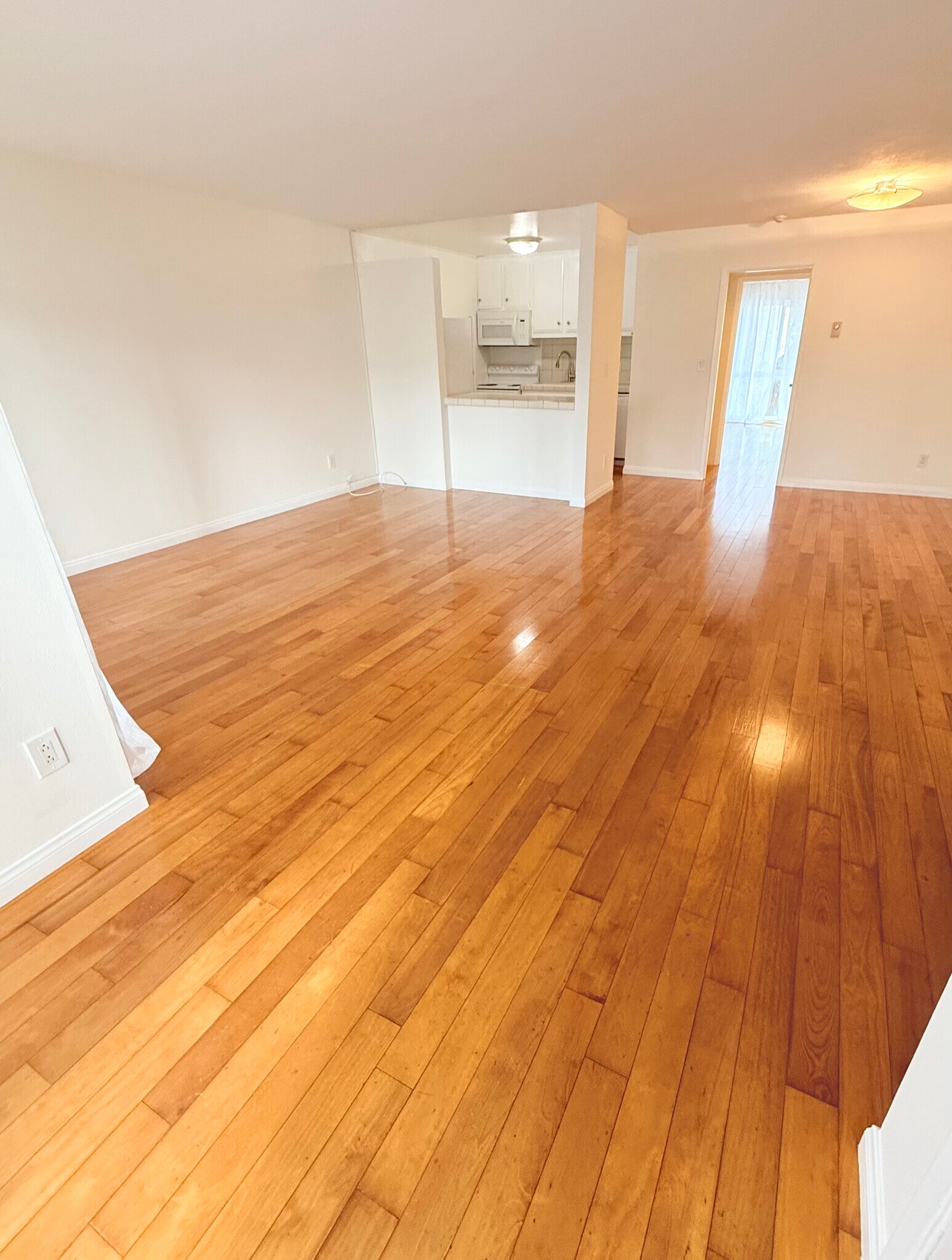 Living Room from Entrance - 906 Camino Real