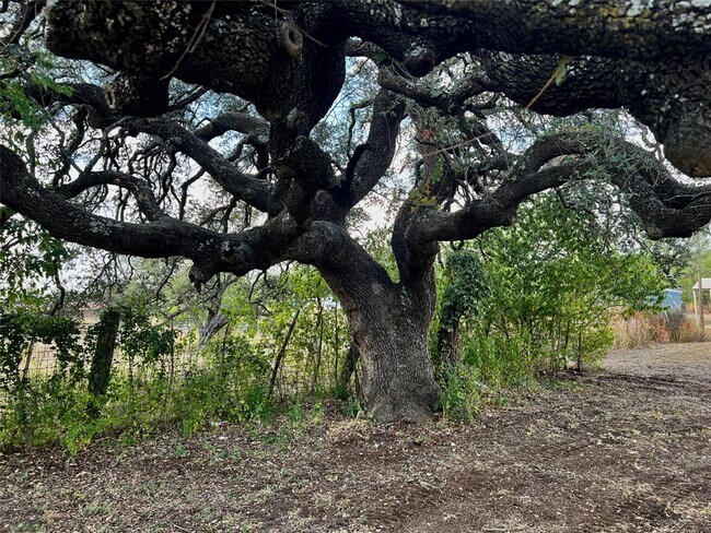 Building Photo - 305 Hall St