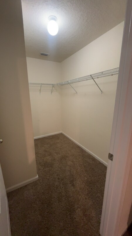 Building Photo - 2054 Nottoway Woods Ln