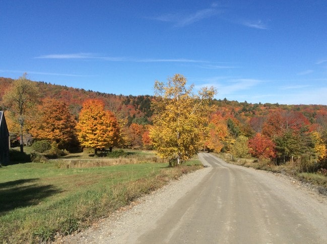 Building Photo - 618 Shearer Hill Rd