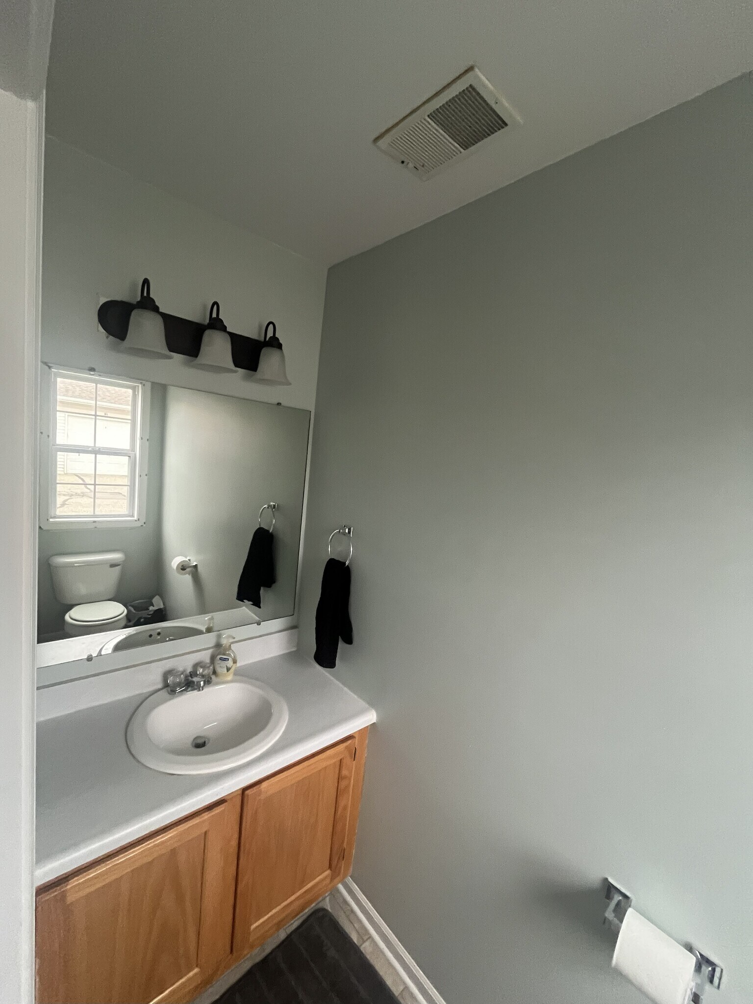 Main Floor 1/2 Bath - 7030 S Cannon Place Ln