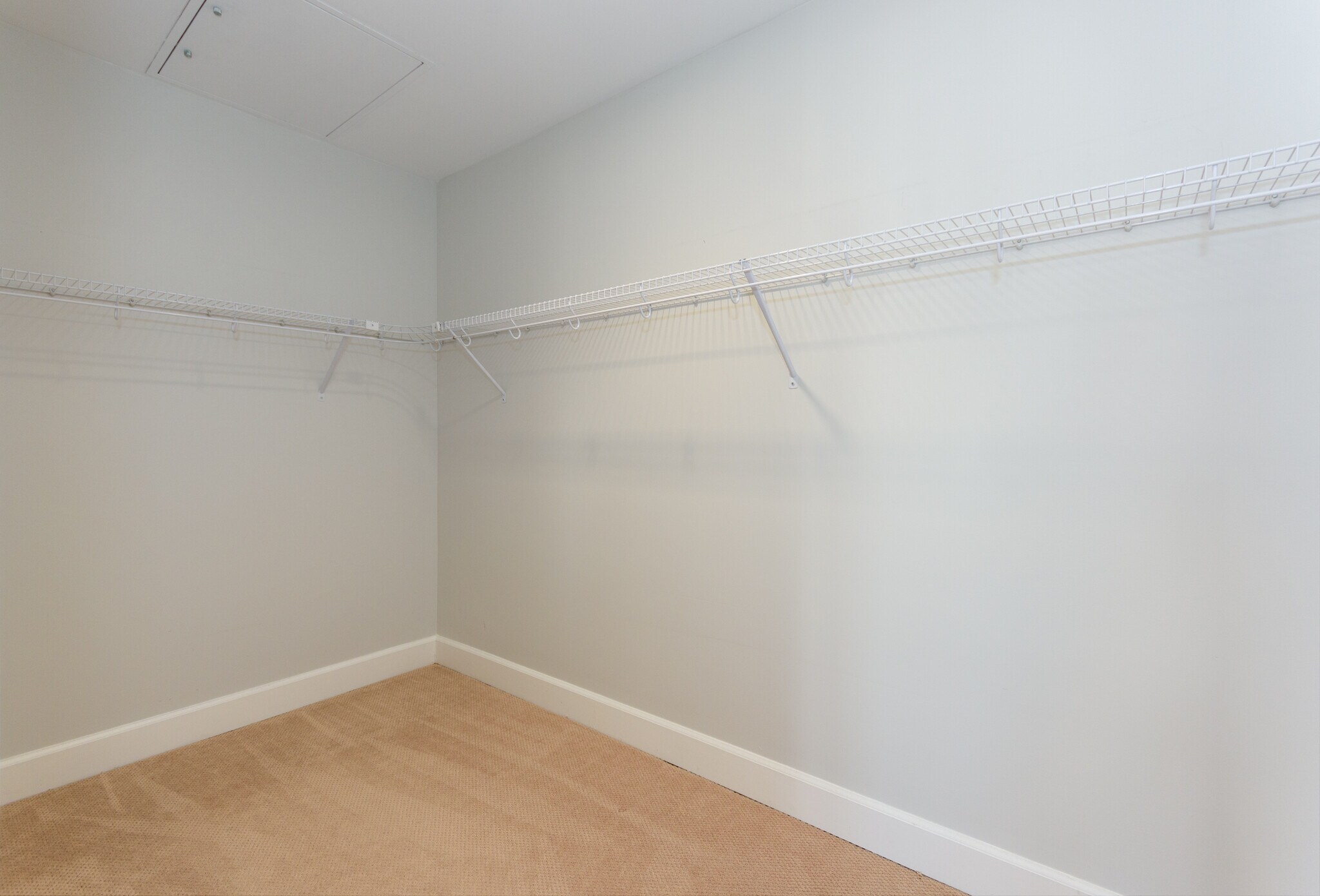 Building Photo - 1501 Commonwealth Ave