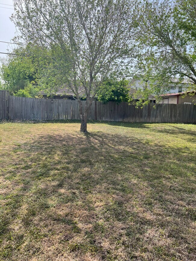 Back yard - 1614 Bush St