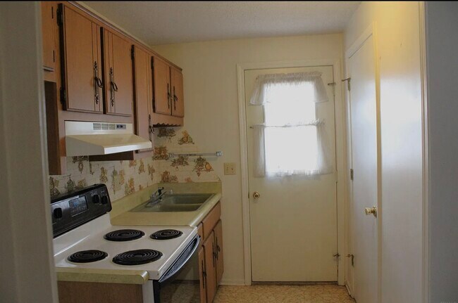 Mother-in-law suite secondary kitchen - 15601 Bull Rapids Rd