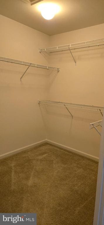 Building Photo - 14067 Marketcenter Dr