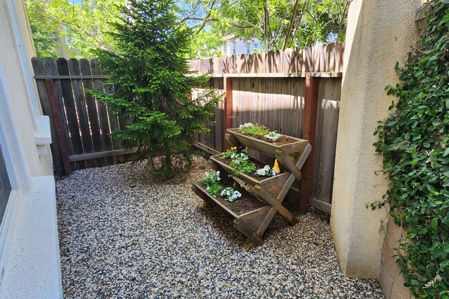 Building Photo - Beautiful East Davis Home
