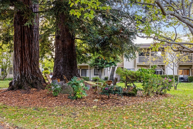 Building Photo - 50 Horgan Ave