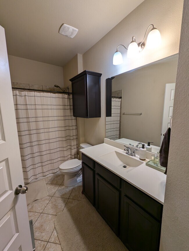 Downstairs bathroom - 2432 Etta May Ln