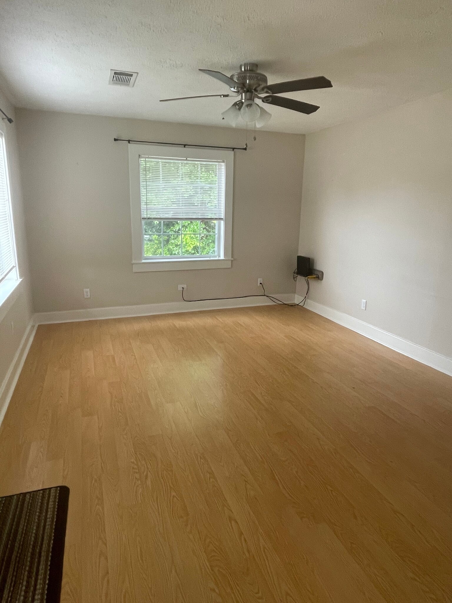 Living Room Area with abundance of natural light - 2415 Old North Hills St