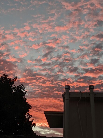 Bedrooms face west for some great sunsets - 138 S Bryn Mawr St