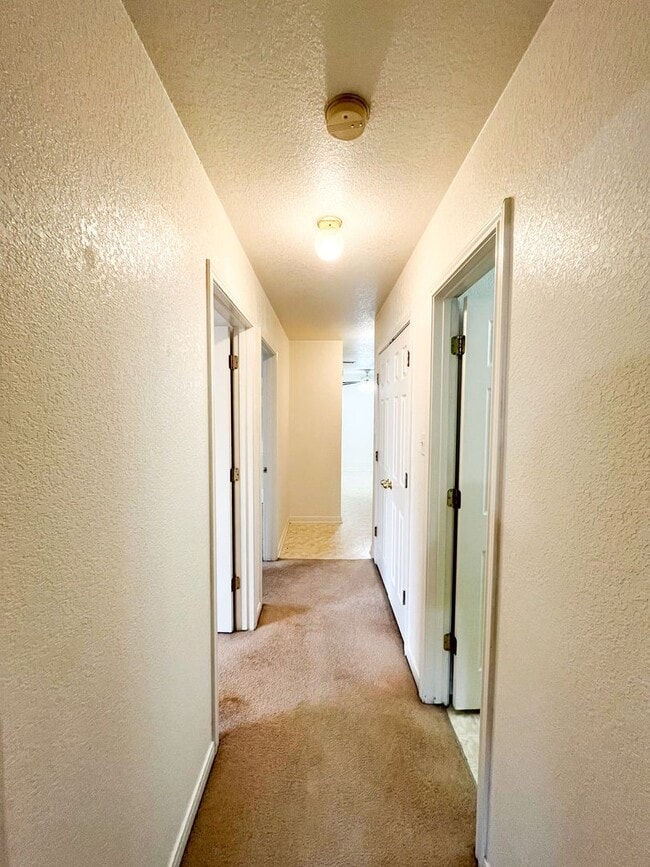 Building Photo - 312 Cedar Ridge Dr