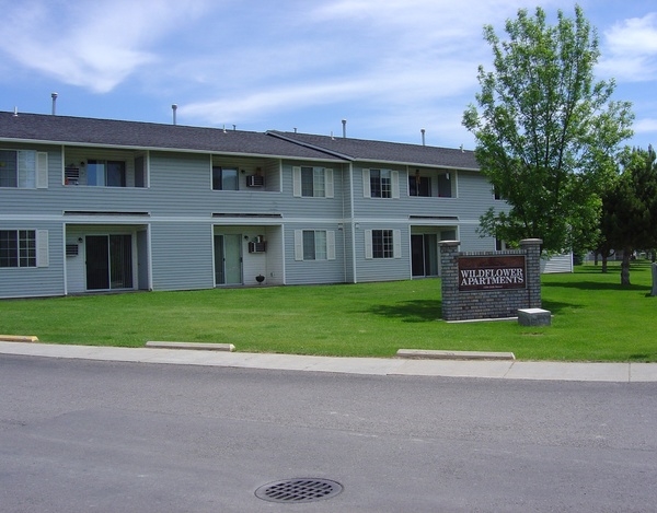 Building Photo - Wildflower Apartments