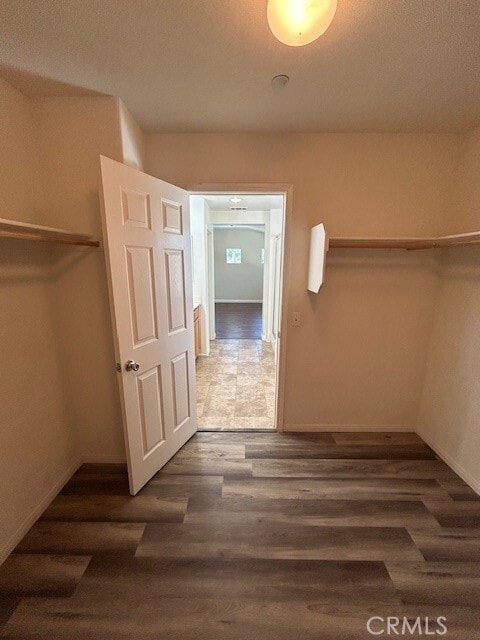 Building Photo - 1911 Cefalu Ct