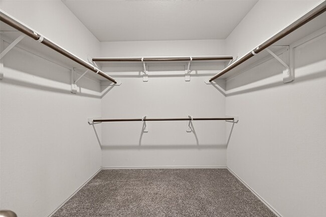 Building Photo - 23718 Water Hickory Dr